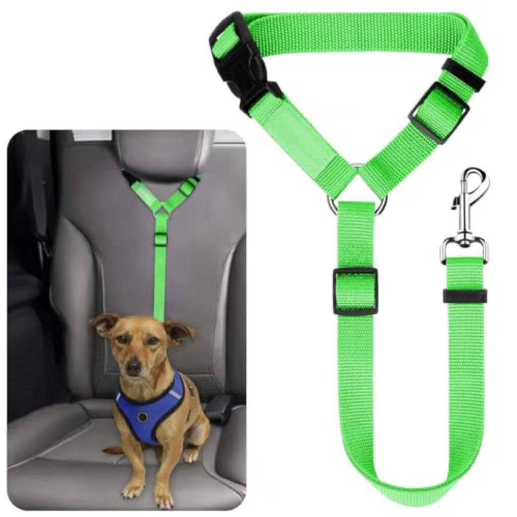 Laisse pour chien, ceinture de sécurité, grand chien