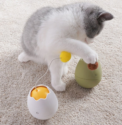 Jouet interactif coloré pour le divertissement des chats