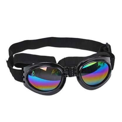 Lunettes de soleil pliables pour chien, style et protection contre les rayons UV.