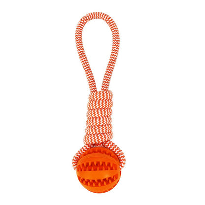 Balles interactives pour petits chiens, combinant jeu et récompenses.