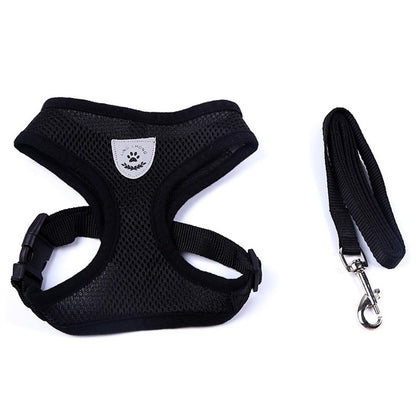 Ceinture de sécurité pour animaux, trajet en toute sécurité
