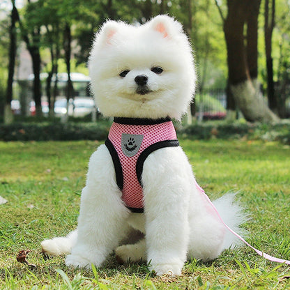 Ceinture de sécurité pour animaux, trajet en toute sécurité