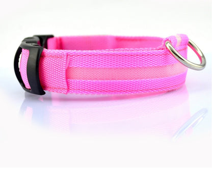 Collier LED lumineux pour chien et chat, visibilité accrue