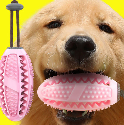 Jouet interactif pour chien, nettoyage dentaire ludique