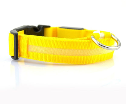 Collier LED lumineux pour chien et chat, visibilité accrue