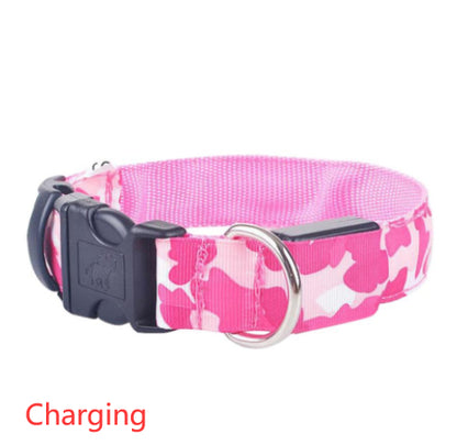 Collier lumineux camouflage, idéal pour chiens et chats en soirée.