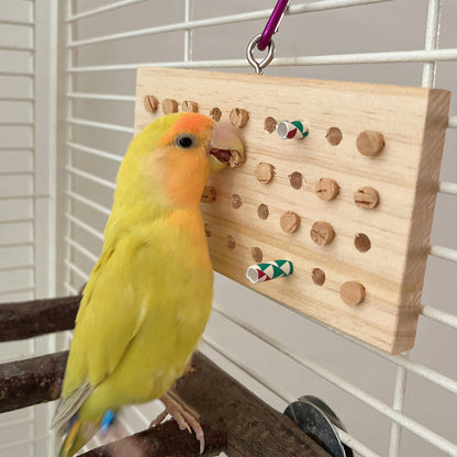 Jouet en Bois pour Perroquet - Clavier - Papapattes