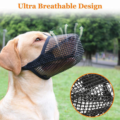 Masque de protection pour chien - Papapattes