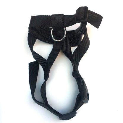 Muselière Nylon Ajustable Anti-Aboiement pour Chien - Papapattes