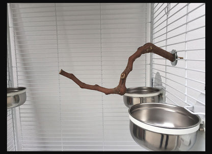 Support Naturel pour Perroquets - Papapattes