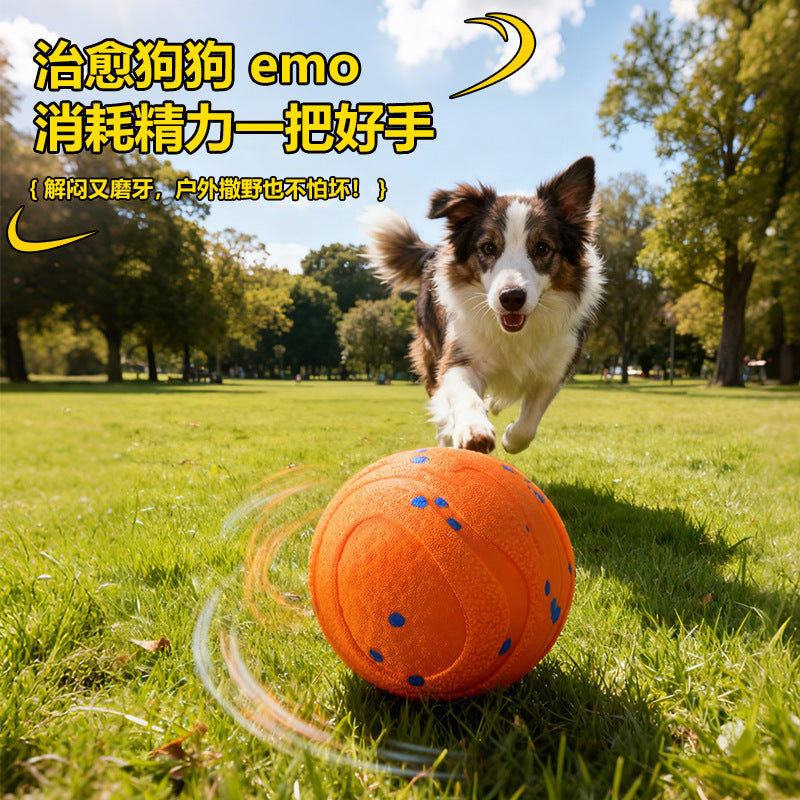 Jouet pour chien, balle sautillante interactive