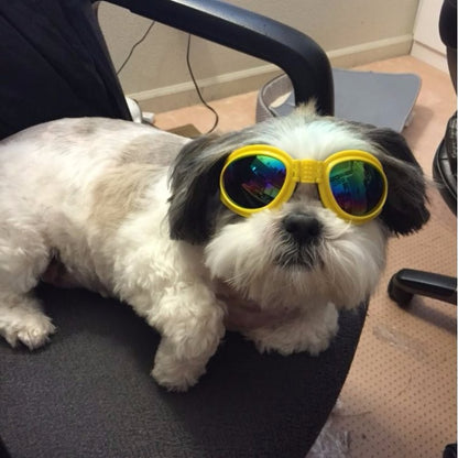 Lunettes de soleil pliables pour chien, style et protection contre les rayons UV.