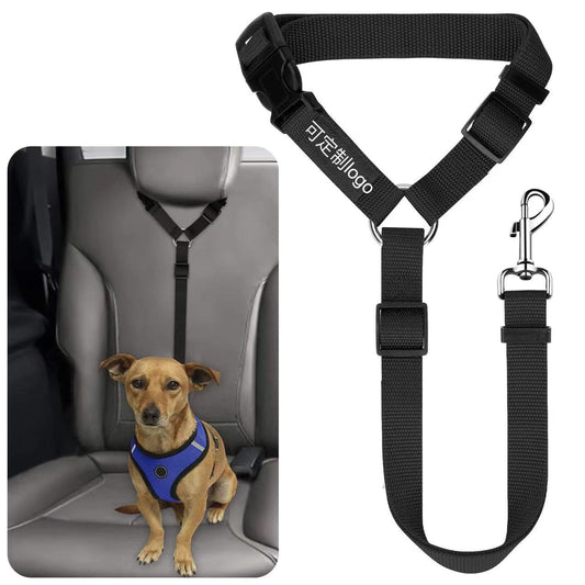 Laisse pour chien, ceinture de sécurité, grand chien