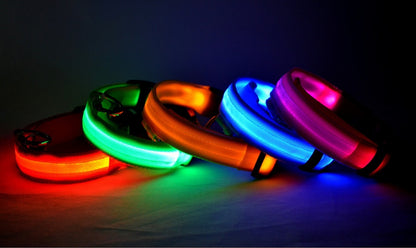 Collier LED lumineux pour chien et chat, visibilité accrue