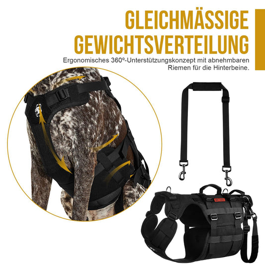 Gilet tactique pour chien avec harnais confortable