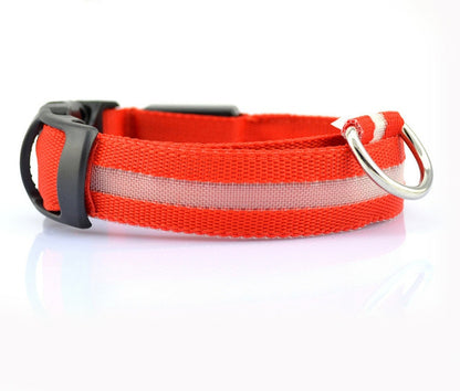 Collier LED lumineux pour chien et chat, visibilité accrue