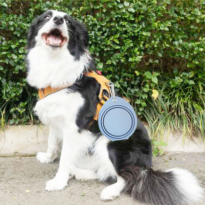 Gamelle Pliable en Silicone pour Chien et Chat - Papapattes