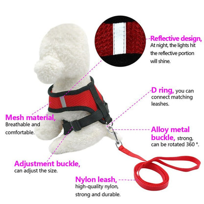 Ceinture de sécurité pour animaux, trajet en toute sécurité