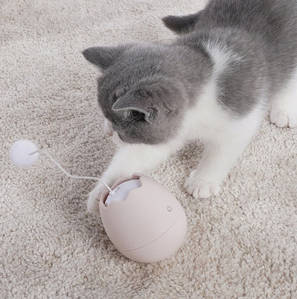 Jouet interactif coloré pour le divertissement des chats