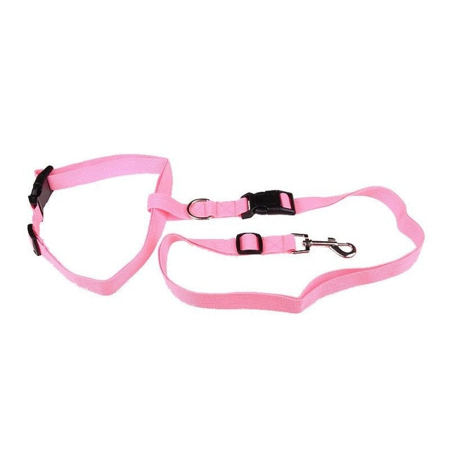 Laisse de Traction Attractive pour Chiens - Sécurisée et Pratique