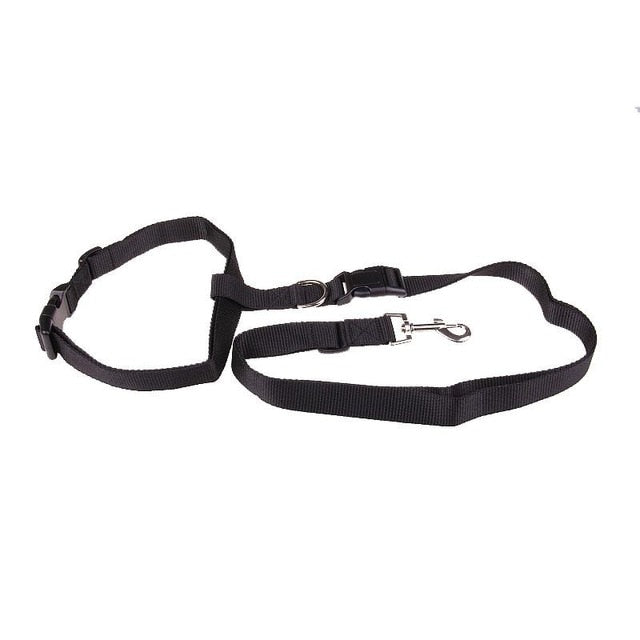 Laisse de Traction Attractive pour Chiens - Sécurisée et Pratique