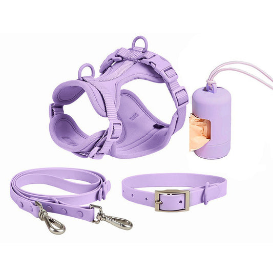 Collier Anti-Morsure Étanche pour Chien - Papapattes
