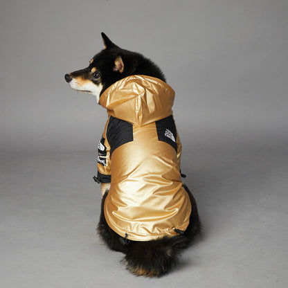 Imperméable élégant pour chien, protection contre la pluie