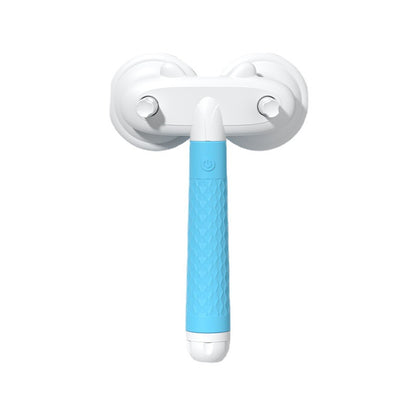 Brosse de toilettage double tête pour chats et chiens