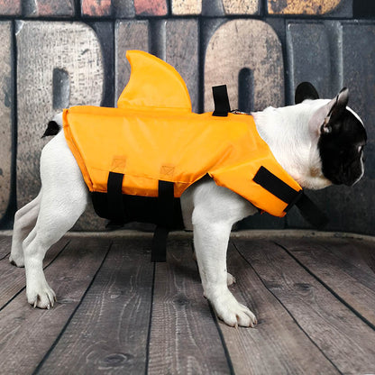 Gilet de sauvetage amusant requin pour chien à la plage.