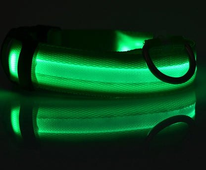 Collier LED lumineux pour chien et chat, visibilité accrue