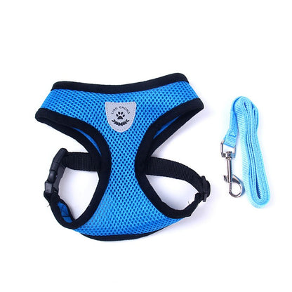 Ceinture de sécurité pour animaux, trajet en toute sécurité