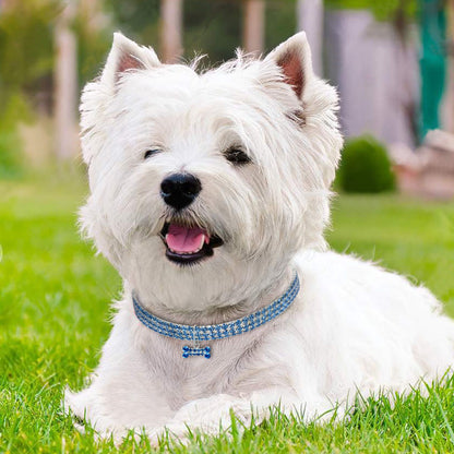 Collier bling avec cristaux pour chien et chat, élégant et confortable.
