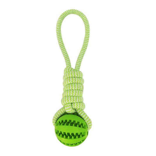 Balles interactives pour petits chiens, combinant jeu et récompenses.