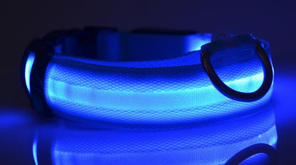 Collier LED lumineux pour chien et chat, visibilité accrue