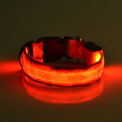 Collier lumineux camouflage, idéal pour chiens et chats en soirée.
