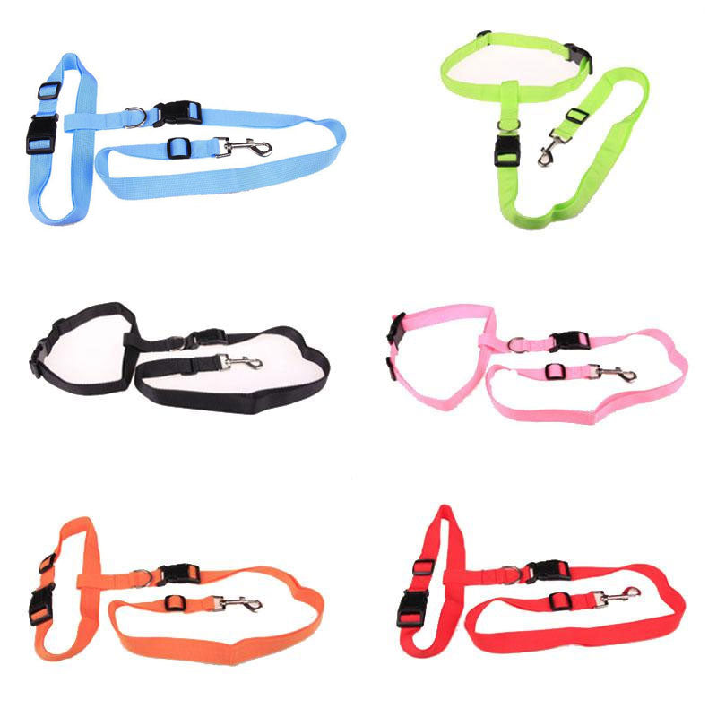 Laisse de Traction Attractive pour Chiens - Sécurisée et Pratique