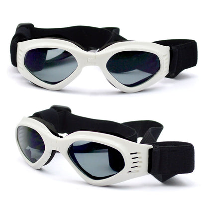 Lunettes de Soleil pour Chien - Protection UV400 - Papapattes