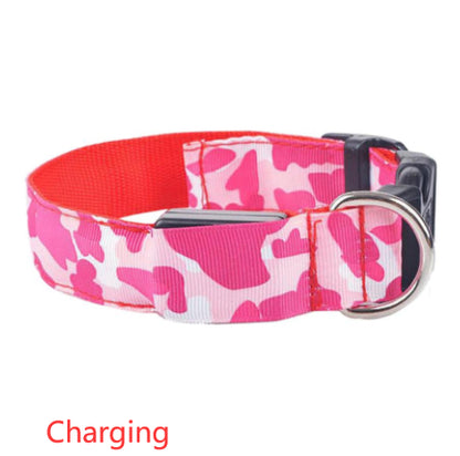 Collier lumineux camouflage, idéal pour chiens et chats en soirée.