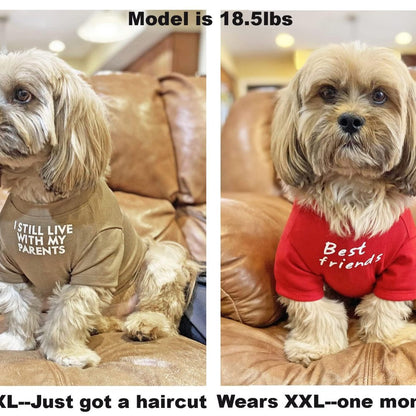 T-shirt rond pour chien et chat - Papapattes