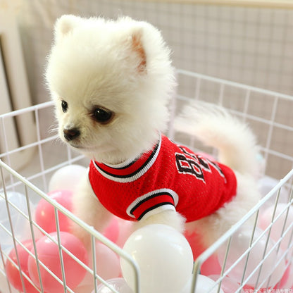Veste d'été respirante conçue pour le confort des chiens durant l'été.