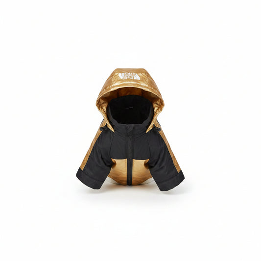 Imperméable élégant pour chien, protection contre la pluie