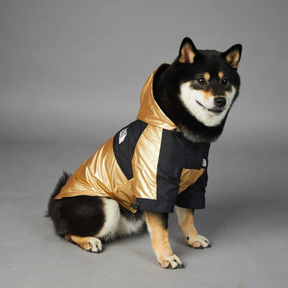 Imperméable élégant pour chien, protection contre la pluie