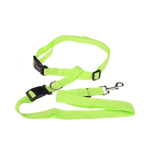 Laisse de Traction Attractive pour Chiens - Sécurisée et Pratique