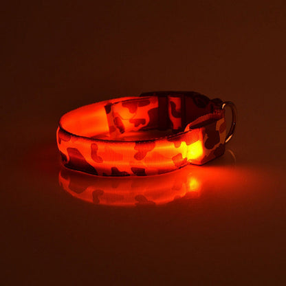 Collier lumineux camouflage, idéal pour chiens et chats en soirée.