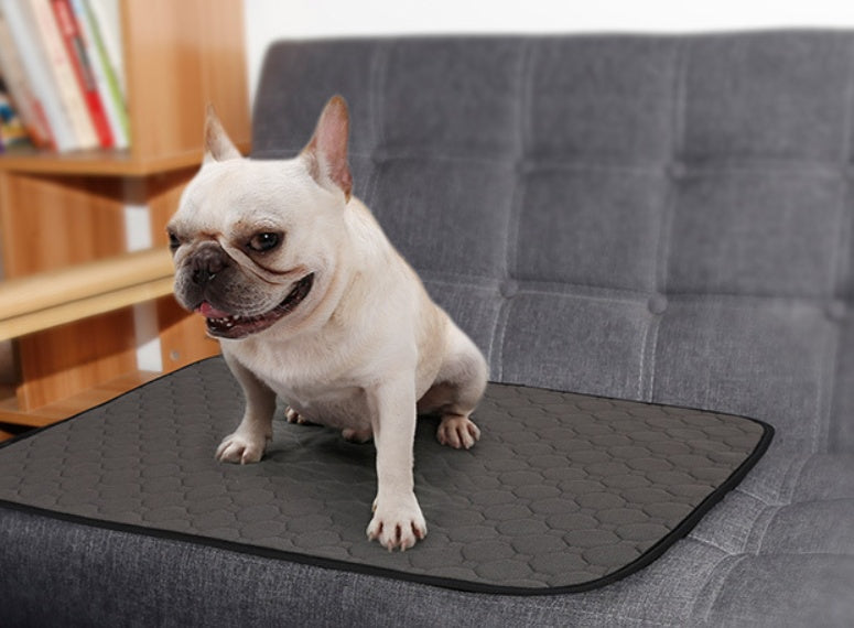 Tapis Absorbant Confort pour Chiens et Chats - Papapattes
