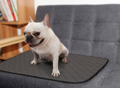 Tapis Absorbant Confort pour Chiens et Chats - Papapattes