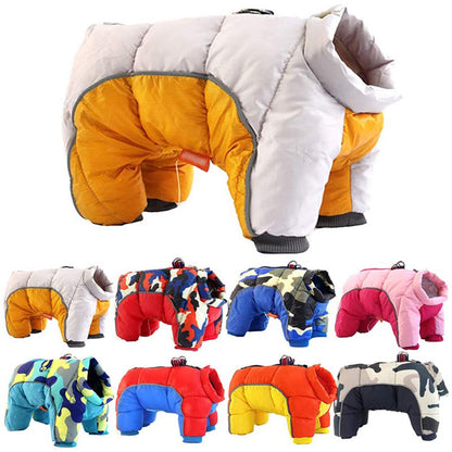 Veste d'hiver épaissie pour chien, combinant confort et élégance.