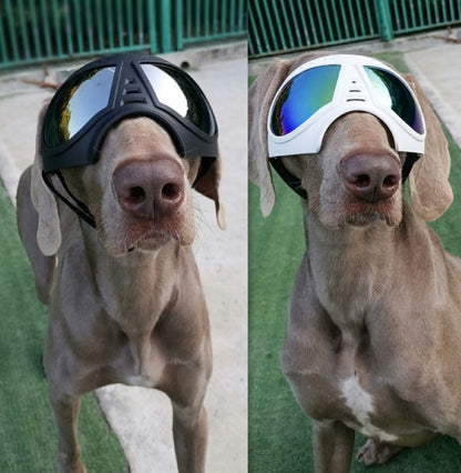 Lunettes de Protection Étanches pour Chien - Papapattes