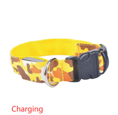 Collier lumineux camouflage, idéal pour chiens et chats en soirée.