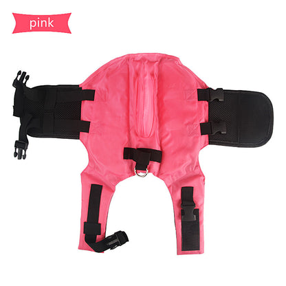 Gilet de sauvetage amusant requin pour chien à la plage.